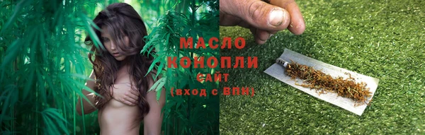 твердый Дмитриев