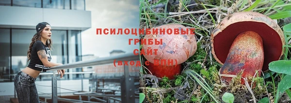 винт Липки